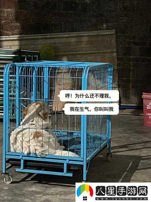 老牛嫩草一二三產(chǎn)品區別之詳細解析