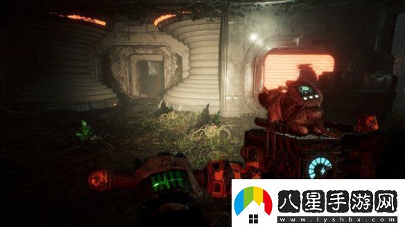 動(dòng)物使用協(xié)議最新配置是什么