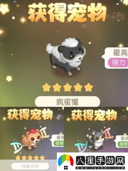 夜晚玩耍生活!動(dòng)畫(huà)預告及主題曲燃爆發(fā)布