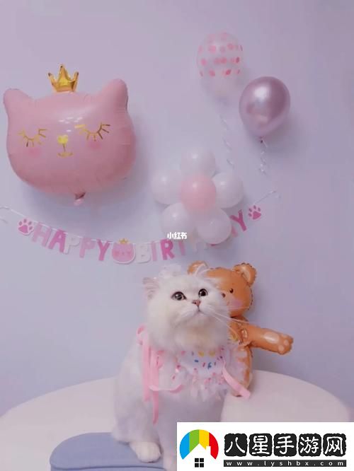 3Q智鬧匠心獨運——科技圈里的另類(lèi)生日慶典