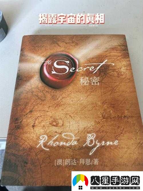 姐妹們見(jiàn)過(guò)多大的尺寸