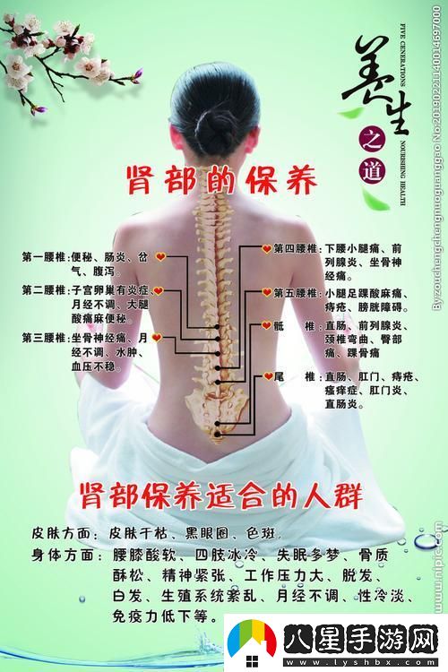 “腎機保養成新時(shí)尚