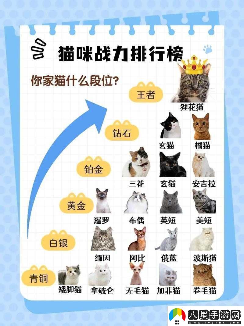 星戰少女戰力飆升指南