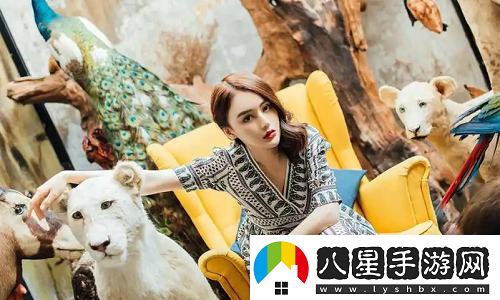 國內永久免費saas