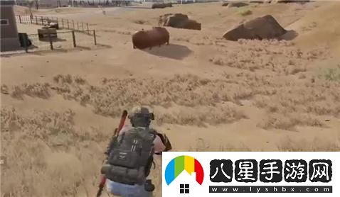 風(fēng)云島伏擊圈完整攻略與技巧分享，助你輕松勝出