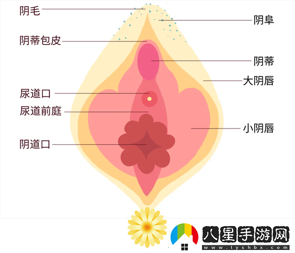 美女扒開(kāi)尿孔
