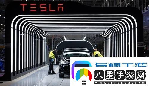 新能源車(chē)戰報