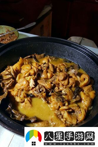 情竇初開(kāi)意大利蘑菇燉小雞