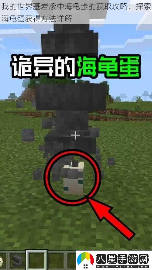 我的世界基巖版中海龜蛋的獲取攻略