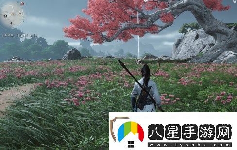 燕云十六聲睡道人戰斗策略全面解析