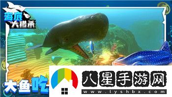 超凡先鋒倉庫最大多少格