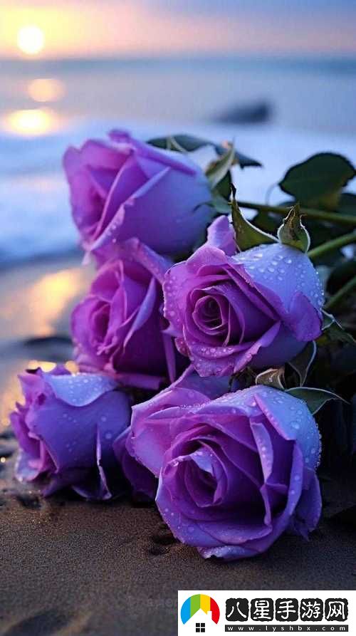 探索創(chuàng )新之路