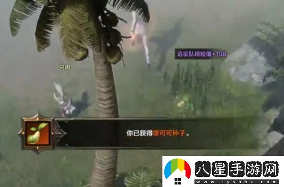 命運方舟夢(mèng)幻島摩可可在哪里