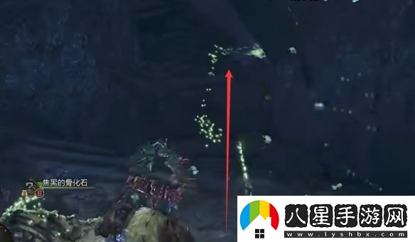 怪物獵人荒野大虛無(wú)動(dòng)在哪抓