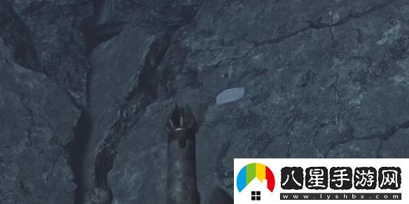 怪物獵人荒野大虛無(wú)動(dòng)在哪抓