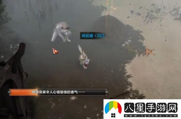 命運方舟夢(mèng)幻島摩可可在哪里