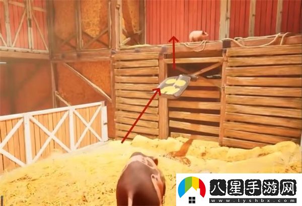 雙影奇境霓虹復仇農場(chǎng)生活支線(xiàn)任務(wù)攻略