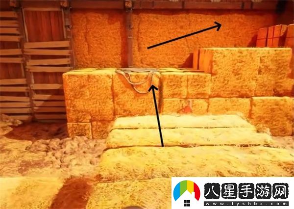 雙影奇境霓虹復仇農場(chǎng)生活支線(xiàn)任務(wù)攻略