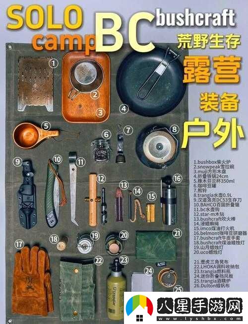 必看往日不再野外武器保存秘籍！90%玩家都不知道的生存訣竅